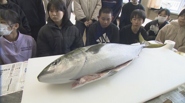 「コリコリしてうまい」朝とれた寒ブリを目の前で解体　児童18人が堪能　富山・氷見市　|　富山のニュース｜天気・防災｜チューリップテレビ