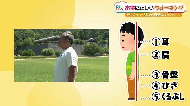 「無理に筋トレをする必要はありません!」ポイントはラジオ体操!?正しい姿勢で歩こう!|TBS NEWS DIG
