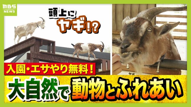 まだ間に合う!GWおでかけ“0円スポット” 触れて学んで体験する…予算を気にせず楽しめる関西の穴場&近場4選!|TBS NEWS DIG