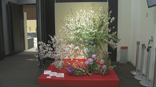 愛好家たちの力作そろう いけばなインターナショナル チャリティー花展|TBS NEWS DIG