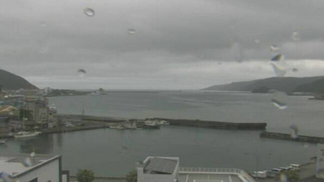 【速報】奄美地方が梅雨入り　平年より7日遅く、去年より2日早く　鹿児島|TBS NEWS DIG