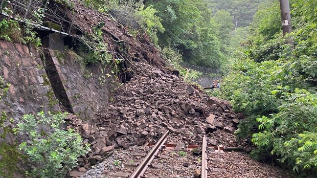 線路に大量の土砂⋯土讃線で斜面崩壊　9日・10日は終日運転見合わせ、特急「南風・しまんと」一部でバス代替輸送【運行計画全掲載】|TBS NEWS DIG