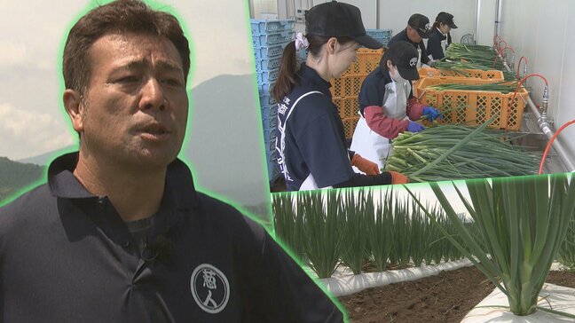 「冷涼な気候が生育に向いている」京都の伝統野菜である九条ねぎ、八幡平市で生産拡大に期待 岩手|TBS NEWS DIG