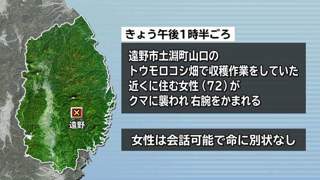 トウモロコシ畑で収穫作業をしていた70代女性がクマに襲われけが　岩手・遠野市|TBS NEWS DIG