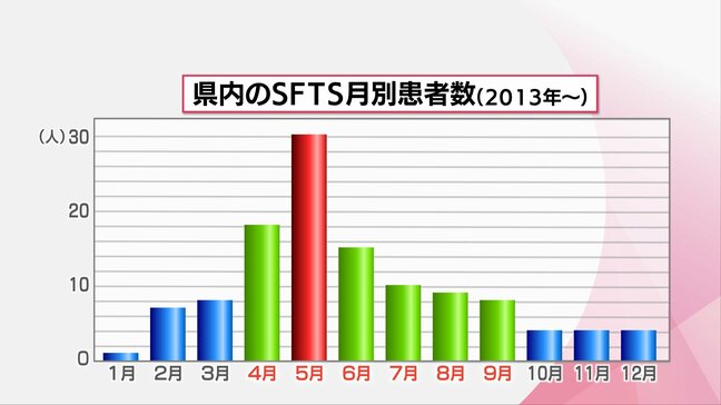 発熱や嘔吐など最悪死に至る可能性　マダニが媒介する感染症「SFTS」　5月に多く確認　野外活動では対策を|TBS NEWS DIG