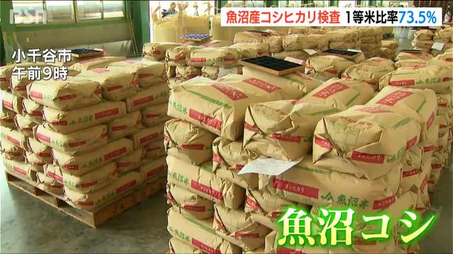 ブランド米『魚沼産コシヒカリ』品質検査始まる　猛暑と雨不足の影響は？「整粒状態、コメの状態、非常にいい」 新潟・小千谷市|TBS NEWS DIG