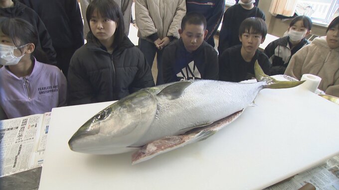 「コリコリしてうまい」朝とれた寒ブリを目の前で解体　児童18人が堪能　富山・氷見市　|　富山のニュース｜天気・防災｜チューリップテレビ