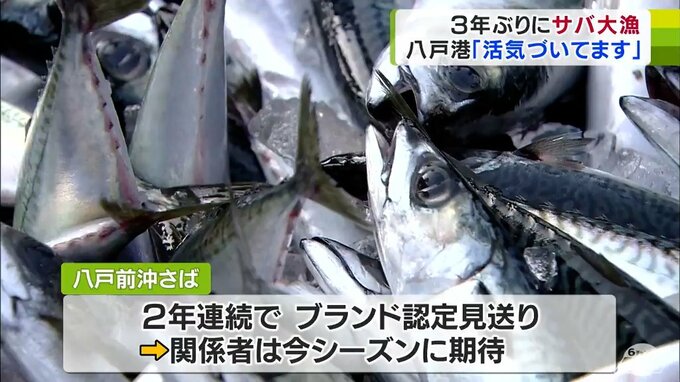 サバ水揚げ量が３年ぶり１０００トン超え　八戸港の魚市場「活気づいてます」|TBS NEWS DIG