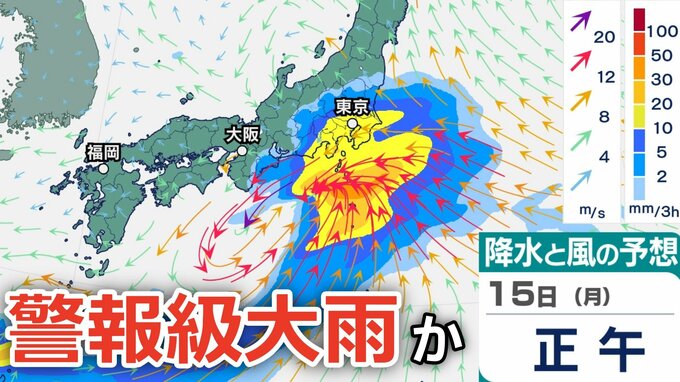 【警報級の大雨か】南岸低気圧が本州付近を北上、14日（日）～15日（月）では東⽇本から⻄⽇本にかけての太平洋側などで大雨のおそれ...今後の気象情報に注意…雨風シミュレーションで確認【気象庁11日】　|　岡山・香川のニュース | 天気 | RSK山陽放送
