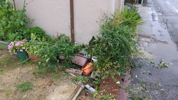 【速報】タクシーが民家に突っ込む事故　運転手の70代男性が重体【岡山・玉野市】|TBS NEWS DIG
