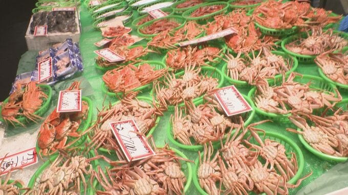 「お待たせしました」 冬の主役  地物のカニ店頭に 金沢市・近江町市場も賑わう　|　石川県のニュース｜MRO北陸放送