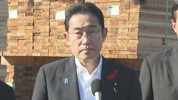 花粉症対策で杉伐採重点区域を設定へ　来週関係閣僚会議開催と岸田総理|TBS NEWS DIG