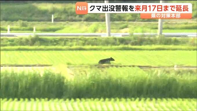 「早朝と夜の行動は控えて」クマ出没警報7月17日まで延長　宮城|TBS NEWS DIG