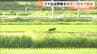 「早朝と夜の行動は控えて」クマ出没警報7月17日まで延長　宮城　|　宮城のニュース│tbc NEWS│tbc東北放送