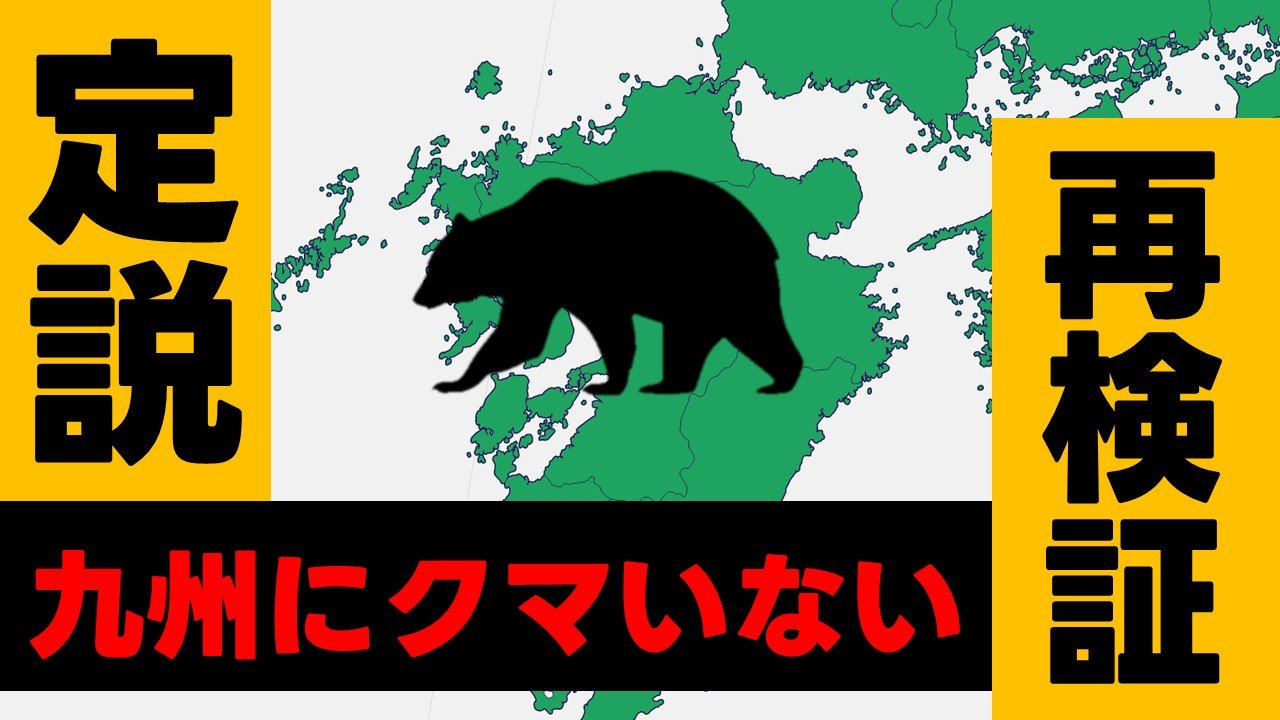 九州 熊 いない