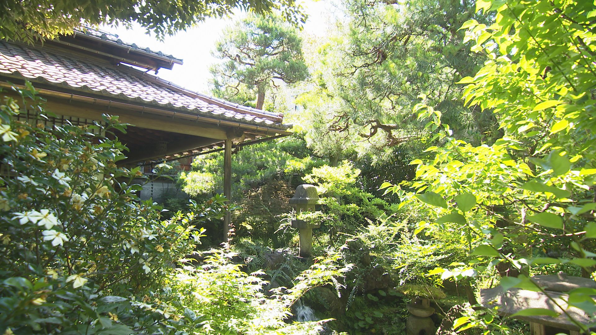 金沢の観光名所・旧浅田家庭園(武家屋敷跡野村家)が国の文化財に登録