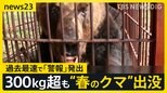 【春のクマ 出没相次ぐ】冬眠明けて各地に “300kg超の個体”まで…連休中 クマに遭遇しないための対策とは【news23】|TBS NEWS DIG
