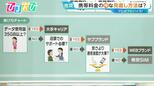 大手3社携帯料金“値上げ”へ「あなたは何ギガ使ってる?」料金プランの見直し方法をプロが解説【ひるおび】|TBS NEWS DIG