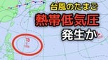 【台風のたまご】新たな「熱帯低気圧」が23日(木)に発生か…今後の動向は?8月1日(土)にかけて雨・風シミュレーションで確認【気象庁21日天気図】|TBS NEWS DIG