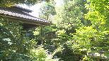 金沢の観光名所・旧浅田家庭園(武家屋敷跡野村家)が国の文化財に登録|TBS NEWS DIG