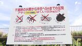 浜名湖の潮干狩りは1人1日1kg以下 期間も限定 20年ぶり一般向けルール変更 9月から=静岡 | 静岡のニュース | SBSNEWS | 静岡放送