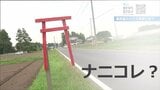 道路沿い謎の「小さな鳥居」いったいコレは?何のために?調べてみたら深ーいワケが・・・|TBS NEWS DIG