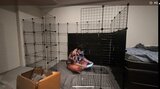 【やす子】 猫のため 巨大ケージ作成 「愛がデカすぎてどんどんデカくなっていく」|TBS NEWS DIG