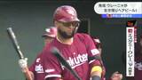 楽天が中日と練習試合　育成ウレーニャ「開幕1軍へ猛アピール」　|　宮城のニュース│tbc NEWS│tbc東北放送