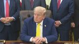 「美しいものになるだろう」“トランプ遊歩道”を整備？　首都ワシントンの観光名所に|TBS NEWS DIG