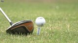 「グリーン上の同窓会」として親しまれる恒例のゴルフ大会 24の高校のOB・OGが交流を深めながらプレー 岩手・雫石町|TBS NEWS DIG