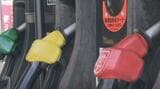 ガソリン価格は173.3円 2週ぶりの値上がり 据え置いていた販売価格の価格転嫁が影響 山梨 | 山梨のニュース | UTYテレビ山梨