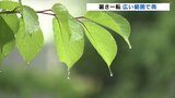 約1週間ぶり30℃下回る 県内広い範囲で雨 あすから再び真夏日に迫る暑さ 福島 | 福島のニュース│TUF