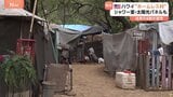 自立目指す「ホームレス村」 シャワー室や太陽光パネル設置、分野ごとに責任者配置・運営会議も ハワイではホームレスの増加が社会問題に|TBS NEWS DIG