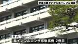 鳥インフルエンザ陽性確認 高知県で今季2例目 土佐市で見つかったメスのヒドリガモ1羽の死がいから | 高知のニュース・天気|KUTV NEWS | KUTVテレビ高知
