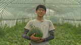 元バンドマンがスイカ栽培に情熱　サポート制度で新規就農　|　BSSニュース | BSS山陰放送