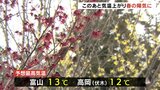 28日午後は富山で13℃予想　最低気温より10℃以上上がる　気象台はなだれなどに注意呼びかけ　|　富山のニュース｜天気・防災｜チューリップテレビ