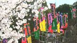 「四国こんぴら歌舞伎大芝居」中村萬壽さん、獅童さんらが町に繰り出す「お練り」2万6千人の歌舞伎ファンが声援【香川】|TBS NEWS DIG