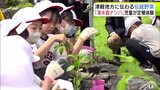 小学生が『清水森ナンバ』の定職体験 30本の苗を植え付け7月中旬に収穫へ「頑張って育てたい」青森県弘前市|TBS NEWS DIG