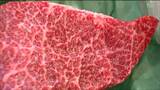 「頑張って買いました」ニタリクジラの生肉“高級部位の尾肉1キロあたり40万円”と過去最高値に 仙台市中央卸売市場|TBS NEWS DIG