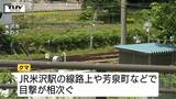 米沢市できのうからクマの目撃相次ぐ 市街地の線路上や高校の近くでも…警察などで警戒続く(山形) | 山形のニュース│TUYテレビユー山形