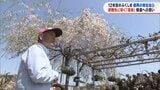 避難先の自宅に咲く「滝桜」 福島で「ナンバーワン」酪農家の故郷への思い | 福島のニュース│TUF