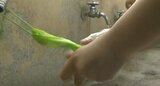 夏風邪ヘルパンギーナ子どもに感染拡大「アルコール消毒では不十分」石鹸で手洗いを! 大分県で“警報”発表 | 大分のニュース|OBS NEWS|大分放送
