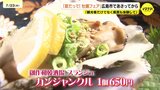 冬の味覚“カキ”のイメージ払しょく？「夏に出さないのはもったいない」観光客6割が「食べたい」と回答　“夏だって！牡蠣フェア”開催　広島・エキニシ|TBS NEWS DIG