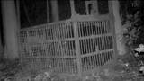 体長1m36センチ 体重約120キロのクマ捕獲 付近では男性がクマに襲われる被害「同一個体かは不明」 宮城・富谷市|TBS NEWS DIG