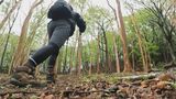 ゴールデンウィークおすすめ「祖母山トレッキングコース」 初心者でも楽しめ貴重な植物にも出会える | 大分のニュース|OBS NEWS|大分放送