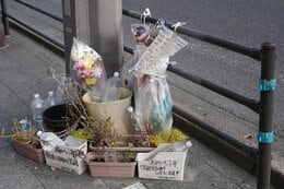 命を奪われる前夜の電話「たわいもない会話が、今では愛おしくてたまりません」20歳の大学生、飲酒ひき逃げで亡くなった…父親が手記|TBS NEWS DIG