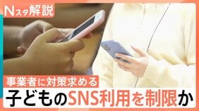 【賛成？反対？】子どものSNS利用 日本でも規制を議論、親からは不安の声【Nスタ解説】|TBS NEWS DIG