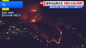 岩手・大槌町で山林火災　空と地上から消火活動　1900人に避難指示　三陸鉄道は一部区間で運転見合わせ|TBS NEWS DIG