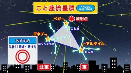 星夜様ご確認ページ TBTHOEFIPNLRHNQP4LL454QF5I.jpg