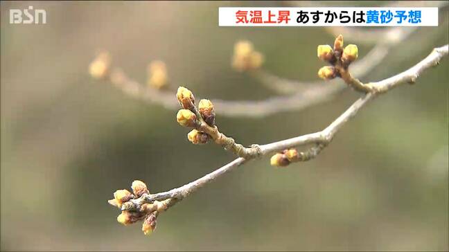 新潟県内は春の陽気　5月下旬並みの気温のところも　25日から黄砂飛来の可能性|TBS NEWS DIG